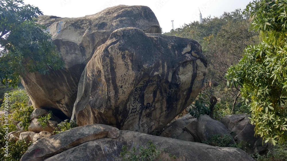 Obraz premium rocks in the forest