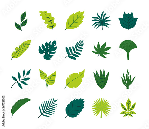 tropical leaves flat style icon set vector design