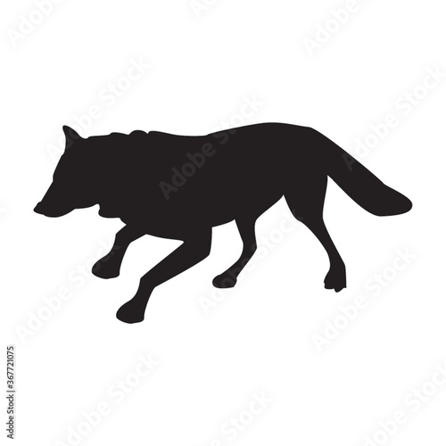 silhouette of fox