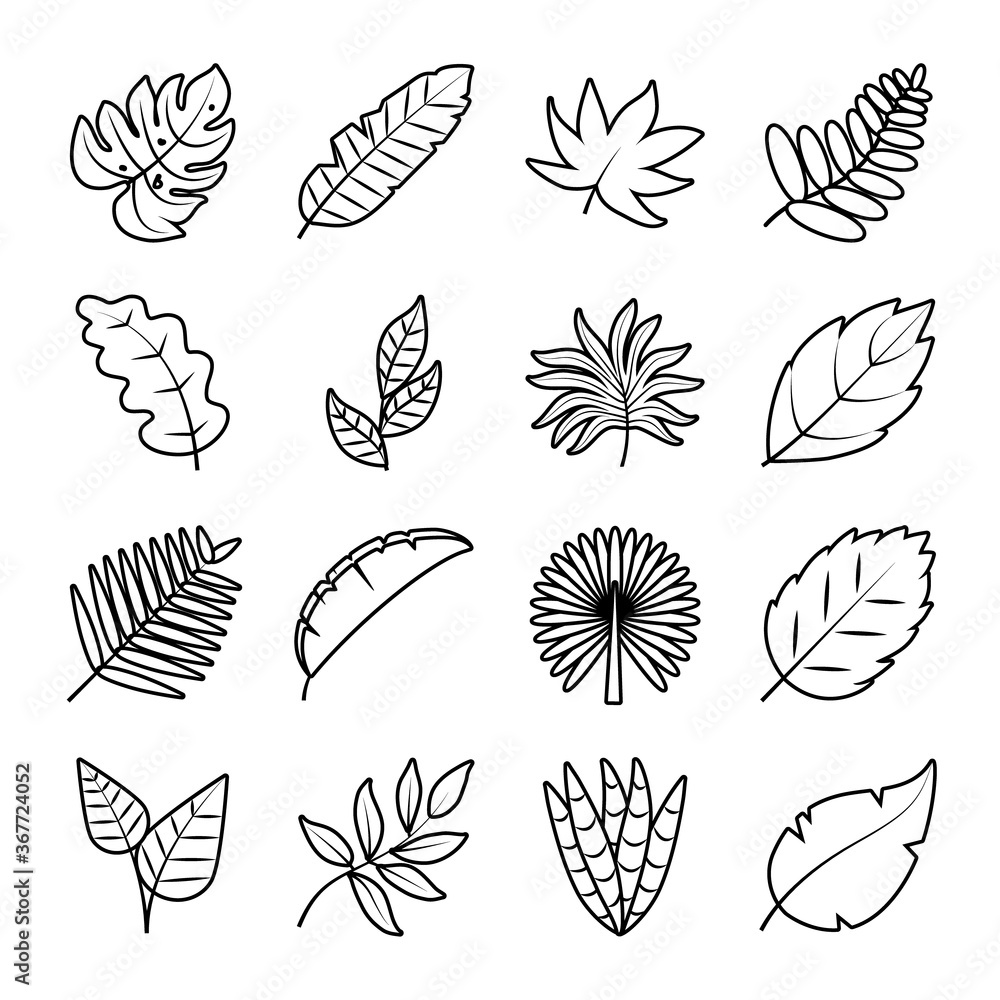 Fototapeta tropical leaves line style icon set vector design