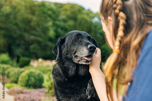Shot of a Girl with her senior black labrador