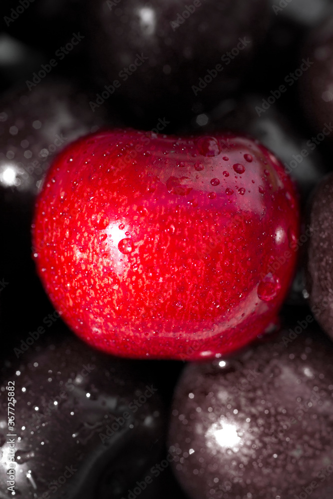 close up of cherry