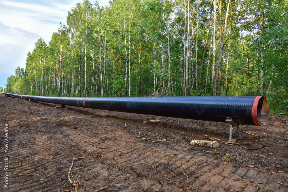 Natural gas pipeline construction work in forest area. Installation of gas and crude oil pipes. Pipe on top of wooden supports at construction site. Construction of gas pipes to new LNG plant Natural gas pipeline construction work in forest area. Installation of gas and crude oil pipes. Pipe on top of wooden supports at construction site. Construction of gas pipes to new LNG plant