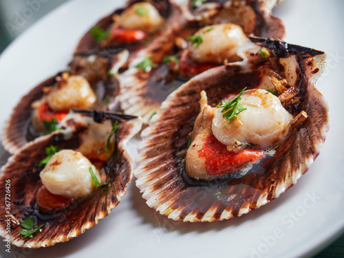 Fototapeta Naklejka Na Ścianę i Meble -  Grilled Galician scallops with garlic (zamburiñas)