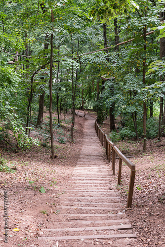 Wooden Footpath up Hill in Forested Area. Natural stairway on a hiking Trail. Staircase leading through the forest.