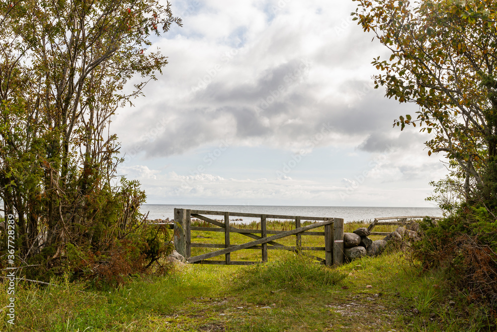 A wooden fence on the green grassy and stony beach with beautiful nature near the sea