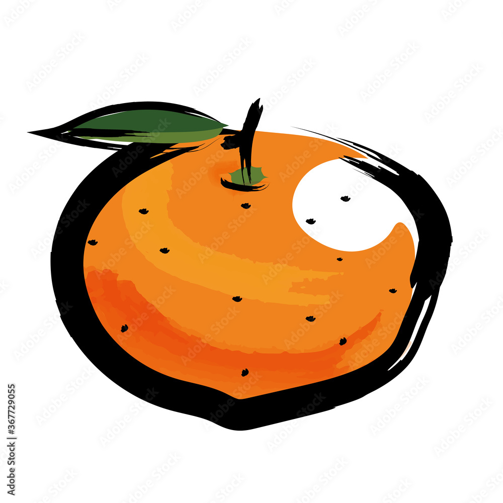 アナログタッチ筆描き水彩画 ミカン蜜柑のイラスト果物フルーツ Mikan Orange Illustration Stock Vector Adobe Stock