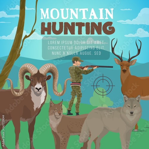 Mountain hunting, forest deer and wild animals, hunter with rifle. Hunting season for deer stag, mountain sheep, wolf and lynx, hunter in camouflage and bandoleer bullet cartridge belt ammunition