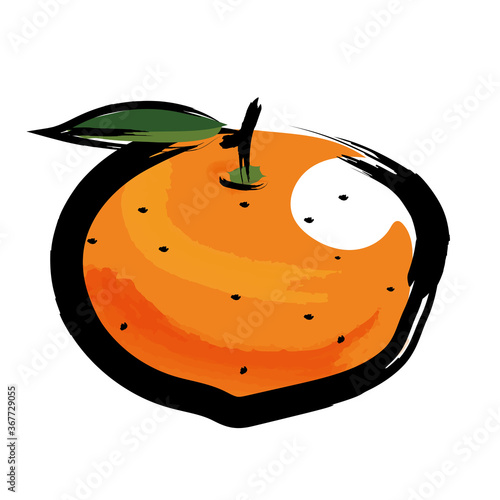 アナログタッチ筆描き水彩画　ミカン蜜柑のイラスト果物フルーツ｜Mikan orange  illustration