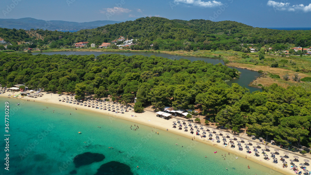 Aerial drone photo of beautiful popular organised sandy bay, turquoise beach and natural preserve lake with pine trees of Koukounaries, Skiathos island, Sporades, Greece