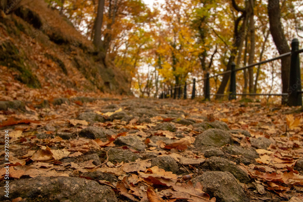 Hiking trail in the Bode valley, Germany