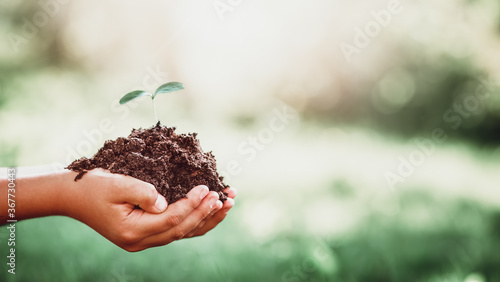Hands of a child taking care of a seedling in the soil