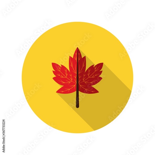 maple leaf
