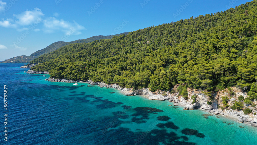 Aerial bird's eye view photo taken by drone of tropical seascape and sandy beach with turquoise clear sea and pine tree forest