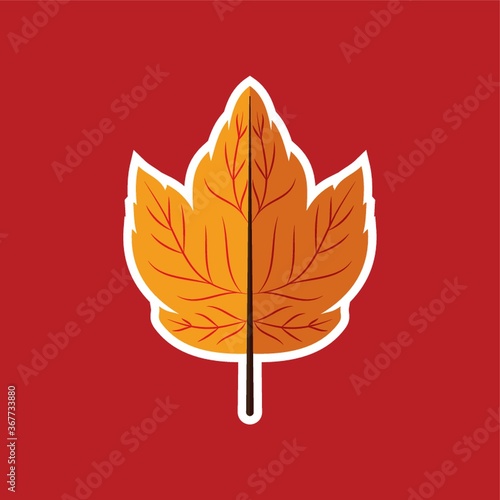 autumn leaf