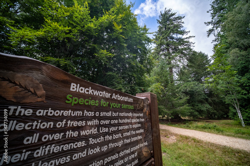 A signpost for the Blackwater Arboretum, New Forest National Park, popular for its giant Sequoia Redwood trees