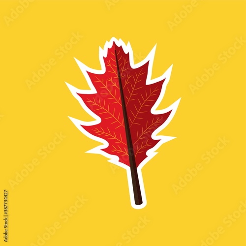 autumn leaf