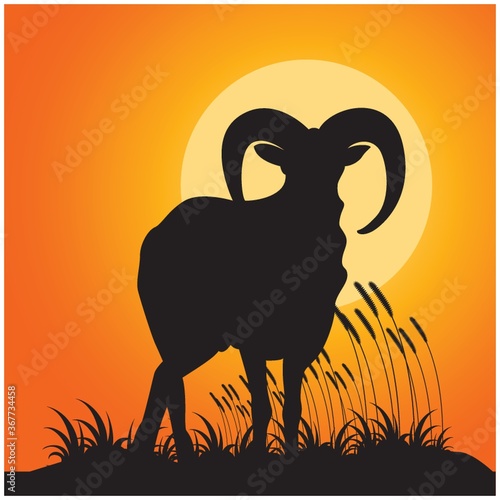 silhouette of ram