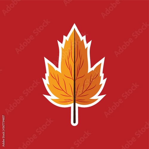 autumn leaf