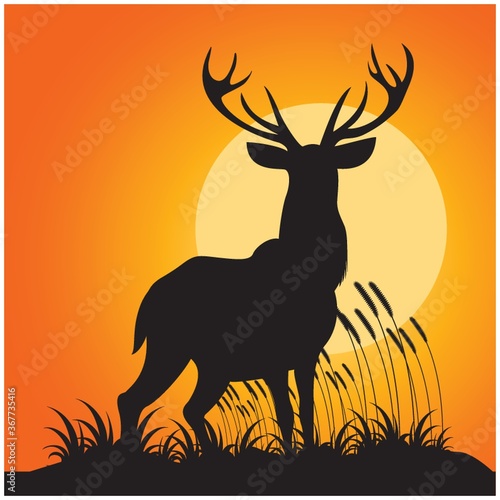 silhouette of reindeer