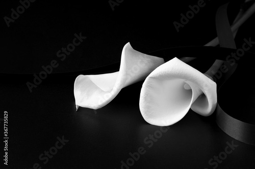 Εκτύπωση καμβά White mourning flower on a black background