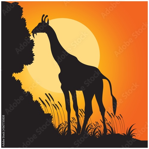 silhouette of giraffe