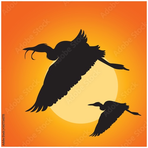 silhouette of cranes flying