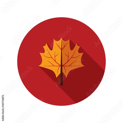 autumn leaf