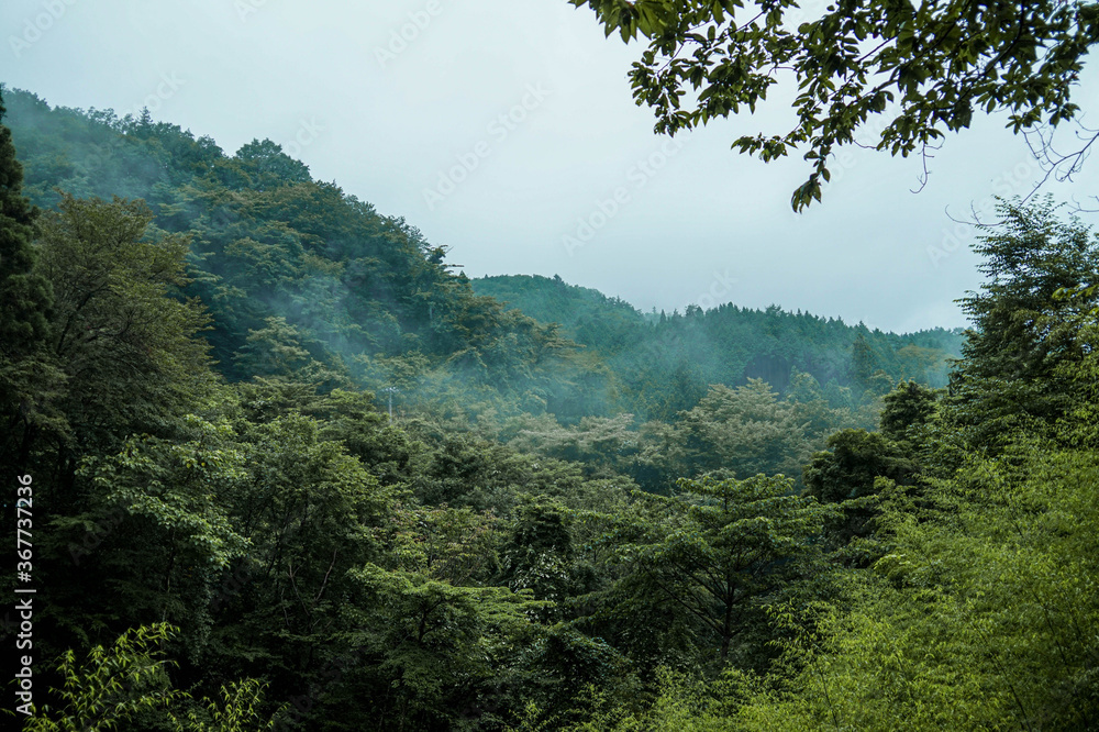 Foggy Mountains