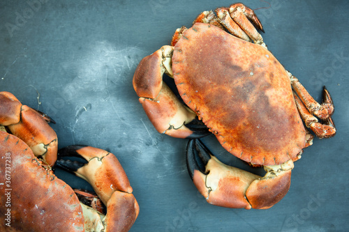 freshly cooked crabs on slate chopping board