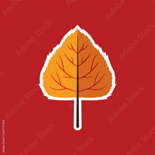 poplar leaf