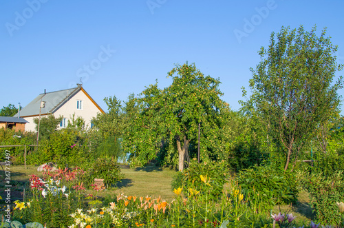 garden landscape with flowers and fruit trees 