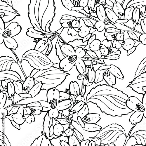 Seamless graphic design with hand drawn jasmine flowers. Fashion, interior, wrapping, packaging suitable. Repeat pattern of black and white jasmine branch isolated on white
