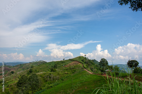 the green mountain with blue sky scene, Phuluang, Loei, Thailand. photo