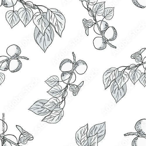 Seamless pattern with hand drawn apricot brunches. Fashion, interior, wrapping, packaging suitable. Repeat graphic design of black and white linden leaf isolated on white	