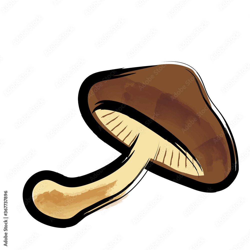 アナログタッチ筆描き水彩画 椎茸しいたけのイラスト野菜 Shiitake Mushroom Illustration Stock Vector Adobe Stock