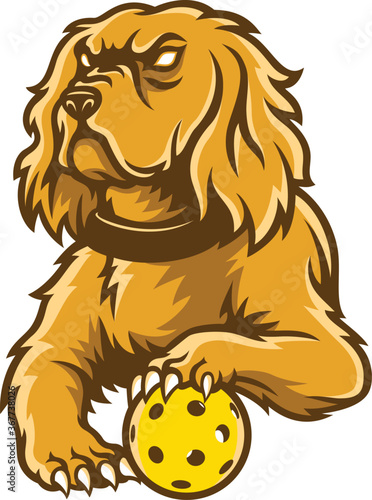 Aggressive Cocker Spaniel Dog Lying with A Pickleball Ball
