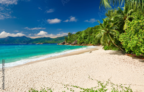 Beautiful Anse Soleil beach with palm tree at Seychelles
