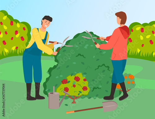 Gardeners cutting bushes cartoon vector illustration. Farmworkers using gardening scissors. Male character working with bush clippers. Summer and spring seasonal work in yard. Landscaping, farming
