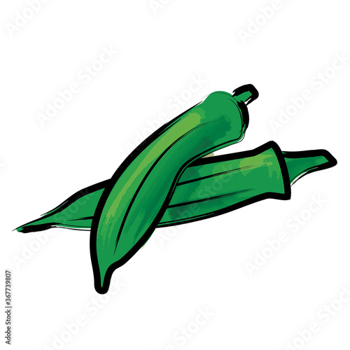 アナログタッチ筆描き水彩画　オクラのイラスト野菜｜Okra illustration