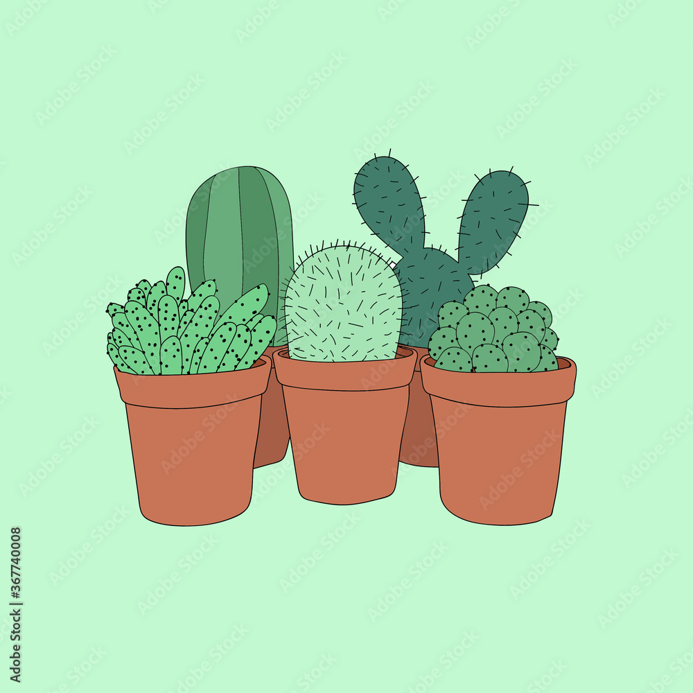 Cacti Cacti