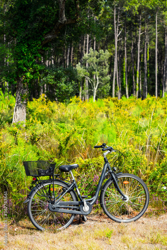 pretty landscape with a bicycle on the edge of the forest