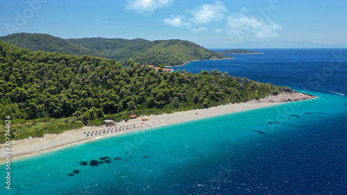 Aerial drone panoramic photo of famous turquoise paradise beach of Milia covered with pine trees, Skopelos island, Sporades, Greece © aerial-drone