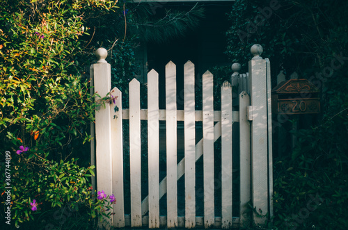 white fence and green grass
