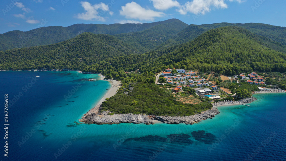 Fototapeta premium Aerial drone panoramic photo of famous turquoise paradise beach of Milia covered with pine trees, Skopelos island, Sporades, Greece
