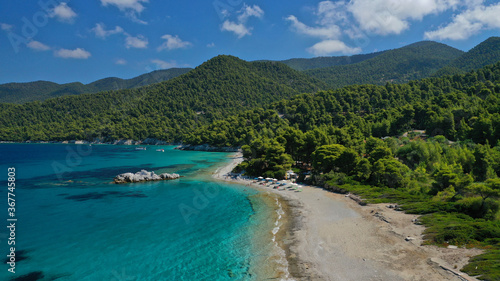 Aerial drone panoramic photo of famous turquoise paradise beach of Milia covered with pine trees, Skopelos island, Sporades, Greece