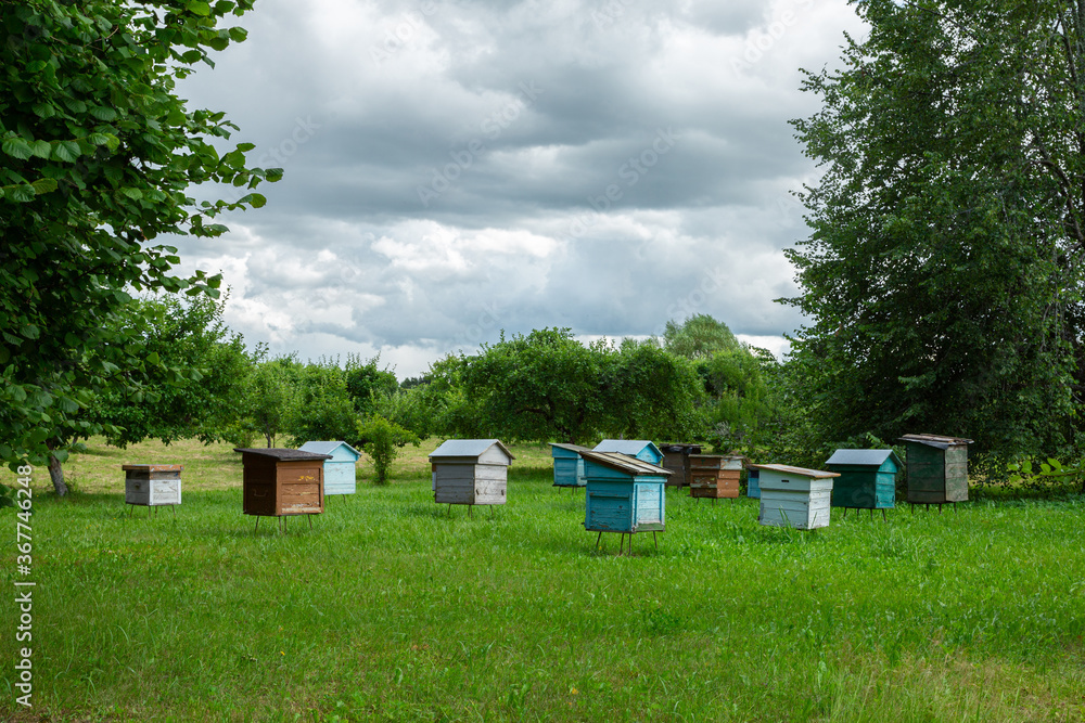 Bee farm on the green field in mid-summer. Horizontal image. Bee farm on the green field in mid-summer. Horizontal image.