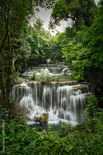 waterfall in the forest