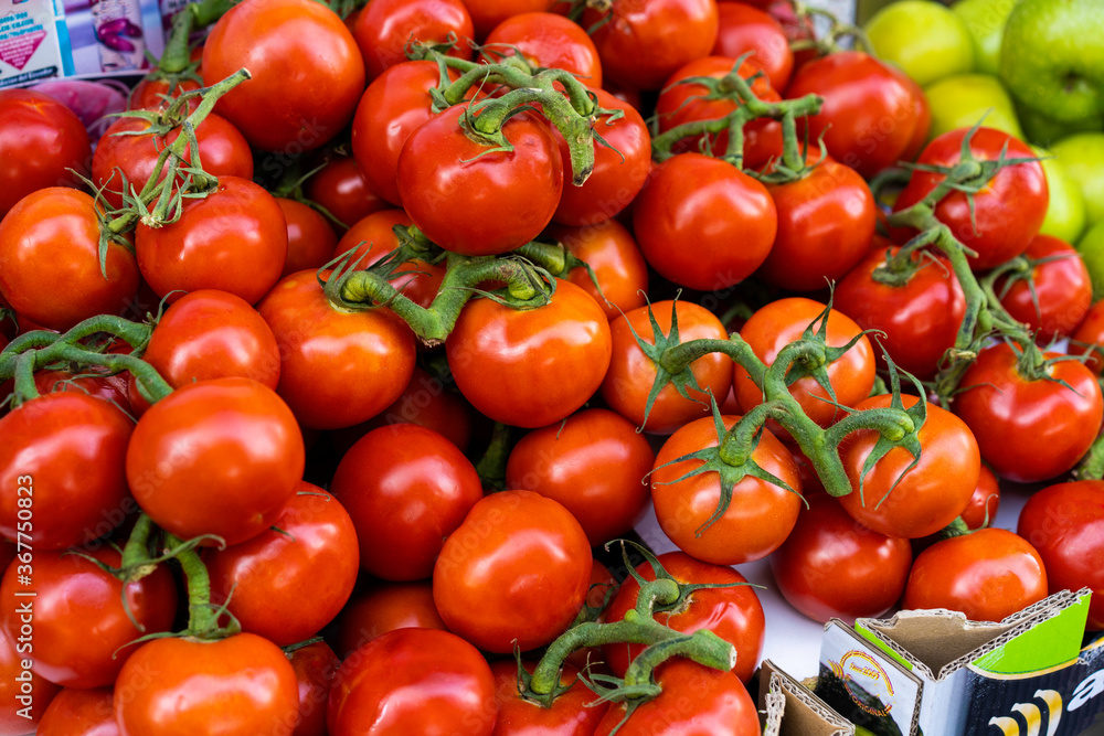Tomates en rama expuestos en una frutería al aire libre con luz natural del día a la sombra Tomates en rama expuestos en una frutería al aire libre con luz natural del día a la sombra