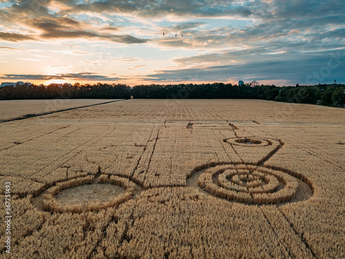 Fotografie Mysterious crop circle in oat field near the city at the evening sunset